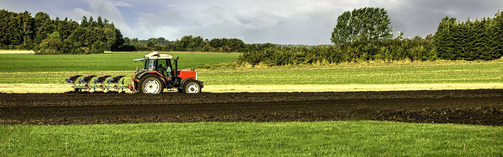 Agriculture Loans